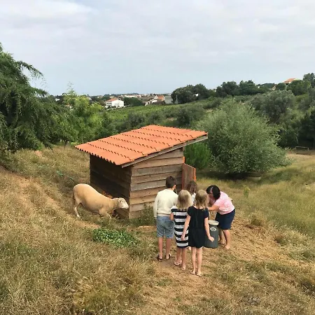 Glamping Farmhouse With Pool Near Caldas&Peniche * Caldas Da Rainha