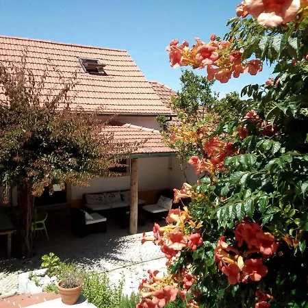 Chalet Glamping Farmhouse With Pool Near Caldas&Peniche Caldas Da Rainha